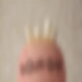 pop pop