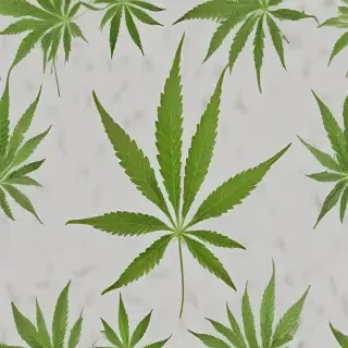 marijuana leaf transparent background