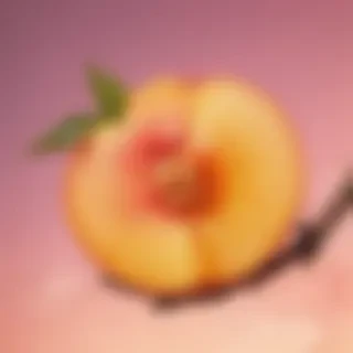 peach background aesthetic