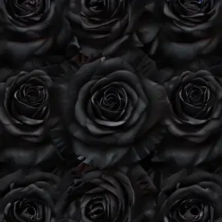black roses background