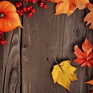 iphone backgrounds fall