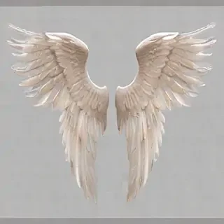 wings transparent