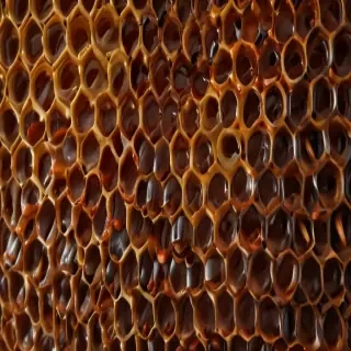 honeycomb png