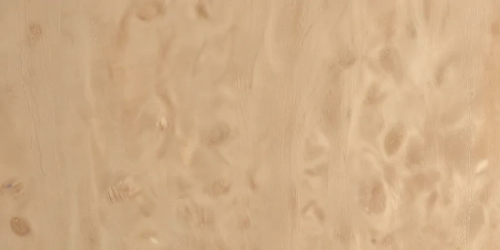 beige plain background