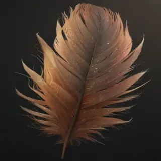 feather png