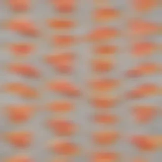 pizza slice png