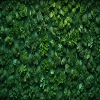 aesthetic green backgrounds