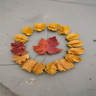 leaf circle