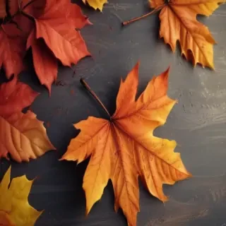 cute fall iphone wallpaper