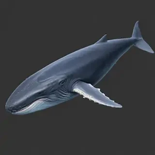 blue whale png
