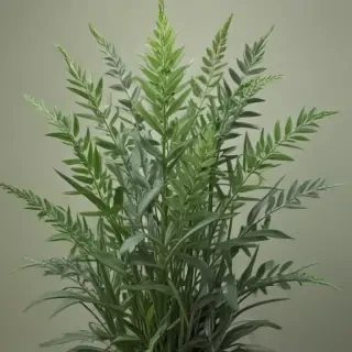 aesthetic sage green