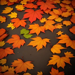 fall leaves