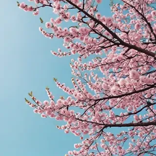 spring desktop wallpaper aesthetic
