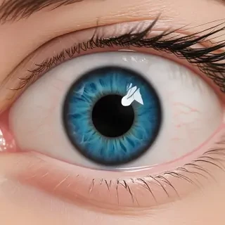 blue eye png