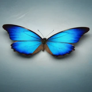 blue butterfly background