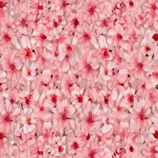 aesthetic flower background