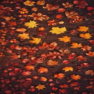 wallpaper autumn iphone