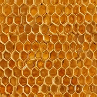 honeycomb png