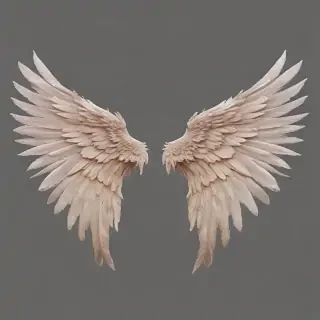 wings transparent background