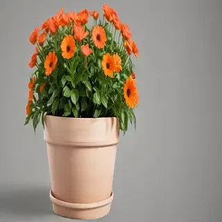 flower pot png