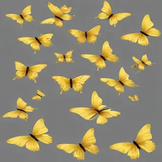 butter flies png