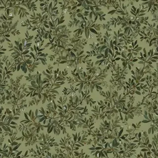 olive green aesthetic wallpaper