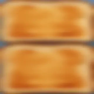toast png