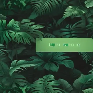 aesthetic wallpapers green
