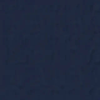 navy blue background