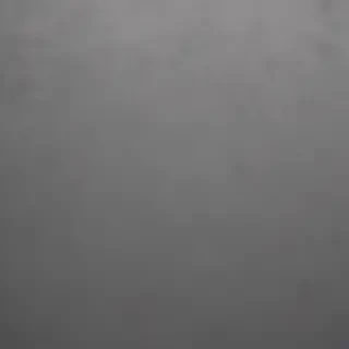 plain grey background