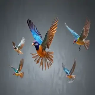 birds flying transparent background