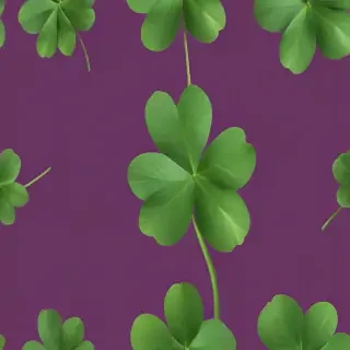clover png