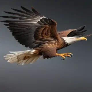 eagle flying png