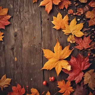 wallpaper autumn iphone