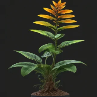 plant png clipart