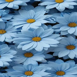 blue flower wallpaper aesthetic