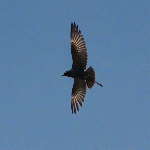 Create an image of a black-headed bird in flight against a clear blue sky, showcasing its long wings and slender body.