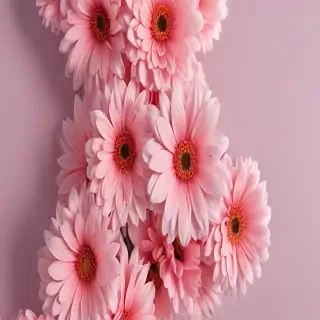 flower aesthetic wallpaper