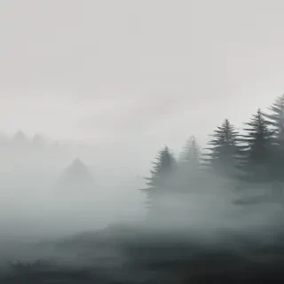 fog transparent background