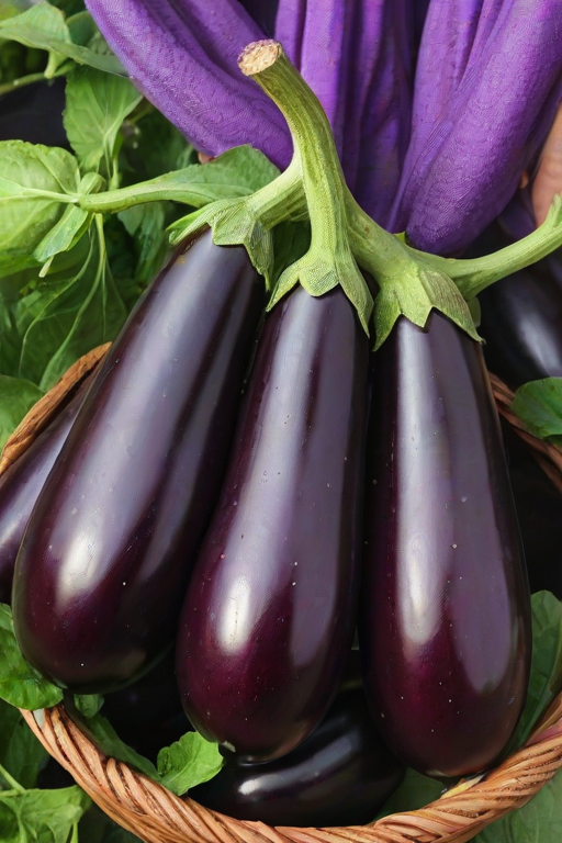 new eggplant friday