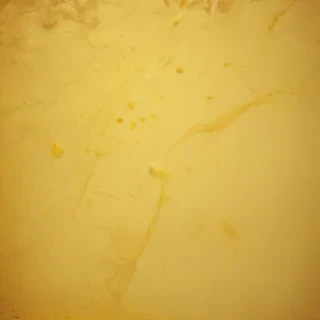 plain yellow bg
