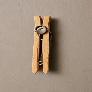 clothespin