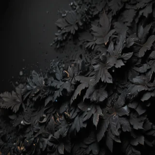 black wallpaper 4k phone
