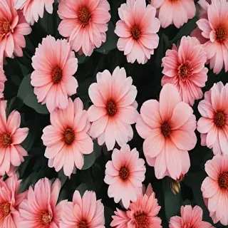aesthetic flower desktop wallpaper