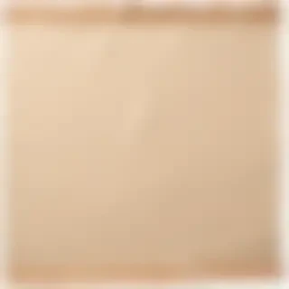aesthetic ripped paper png