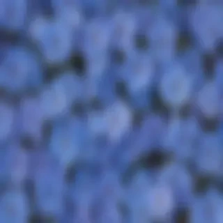 blue flowers aesthetic