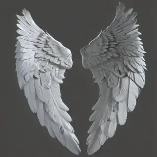 angel wings png