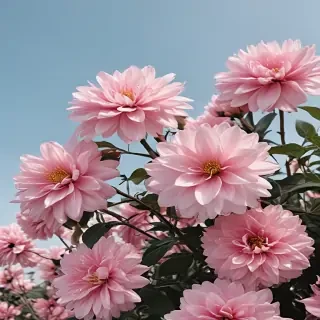 flower aesthetic