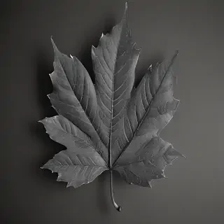 leaf images black and white