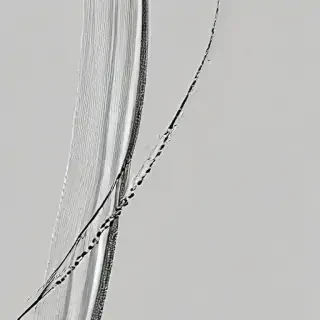 curve line png
